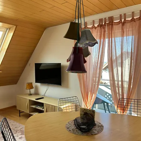 Feriendomizile Menholz Apartment Balingen Exterior photo