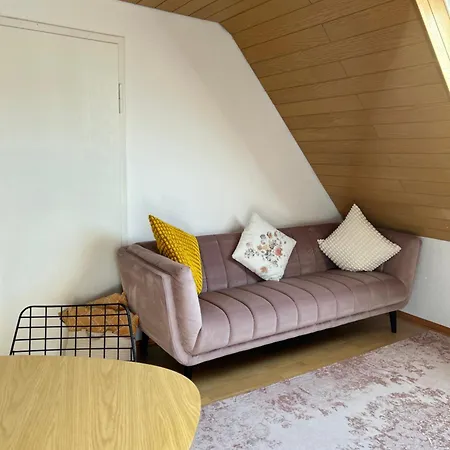 Feriendomizile Menholz Apartment Balingen Exterior photo